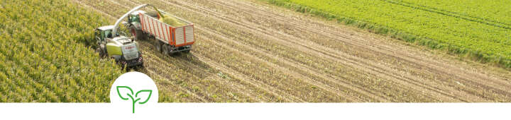 einstiegsbanner maissilage artikel silage einstiegsbanner maissilage artikel silage